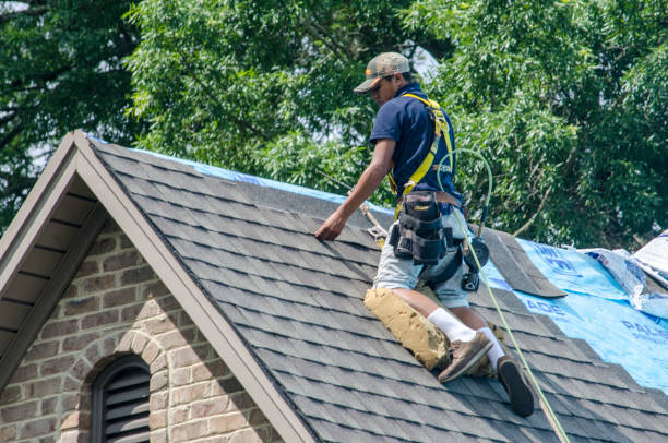 Best Roof Leak Repair  in Wesson, MS